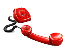 picture of a pumpkin